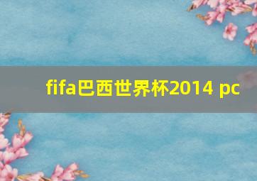 fifa巴西世界杯2014 pc